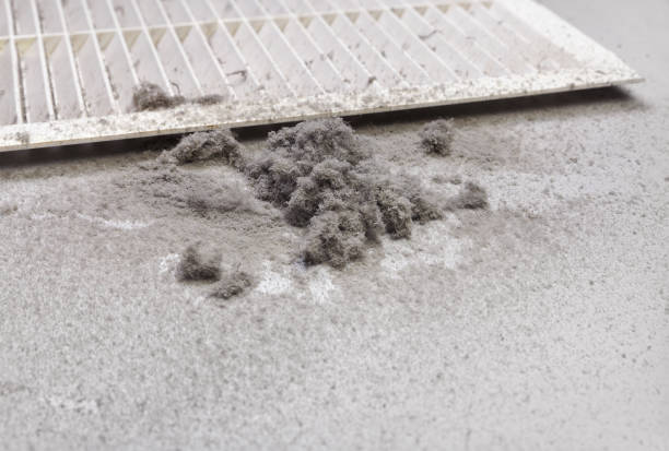 Best Commercial Air Duct Cleaning  in Bangor, WI