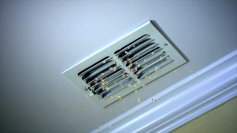 Best Ductwork Cleaning Services  in Bangor, WI