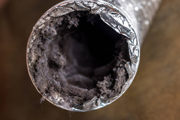 Best HVAC Air Duct Cleaning  in Bangor, WI