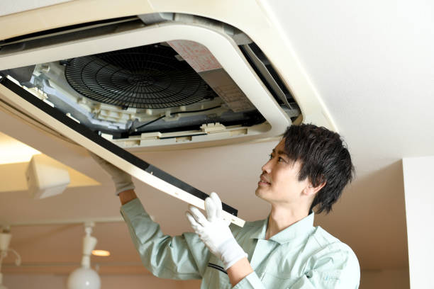 Best Air Duct Mold Removal  in Bangor, WI