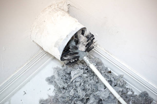 Best Air Duct Mold Removal  in Bangor, WI